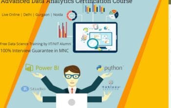 Data Analyst Course in Delhi, 110057. SLA